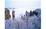 春節(jié)旅游：張家界、袁家界、天子山、寶峰湖/黃龍洞度假二晚三日游